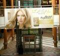sillabänner